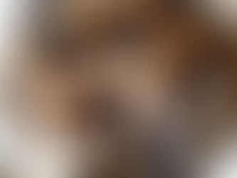 Blueberry Muffins: A Taste of Autumn (藍莓馬芬)