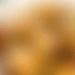 pan-Fried King Oyster Mushroom