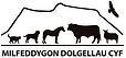 milfeddygon dolgellau.JPG