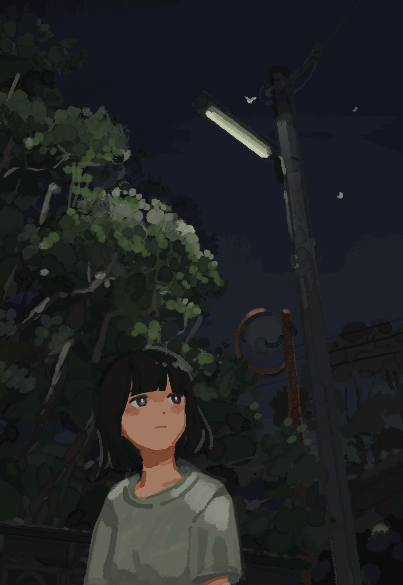 スカイフィッシュ