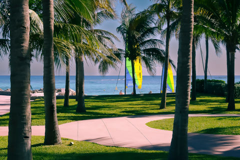Functional image, Freeport Beach Bahamas gallery sale in art store