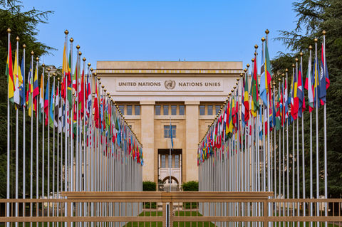Functional image, Geneva Switzerland gallery sale in art store