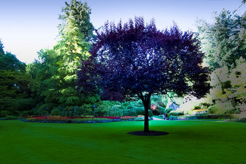 Functional image, Butchart Gardens Canada gallery sale in art store