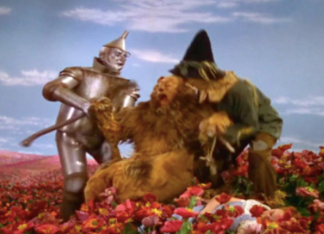 The Intoxication of Colour in The Wizard of Oz