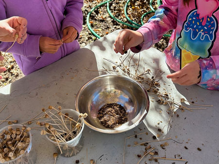 Seasons in the Lost Sierra