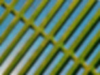 Field of solar panels.jpg