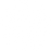mexican flower.png