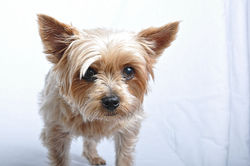 022