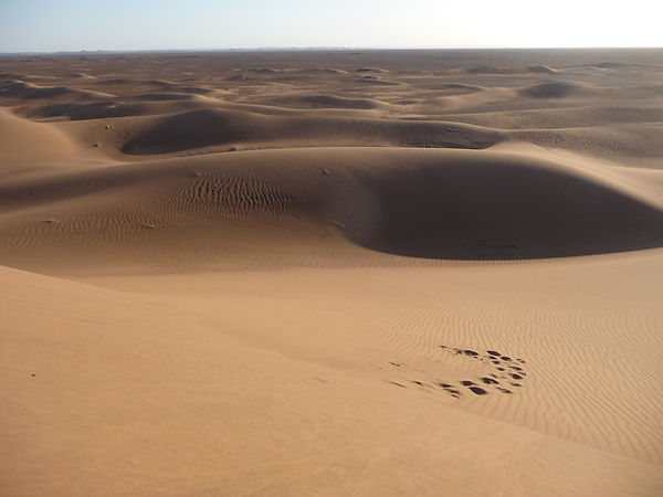 dunes_sahara