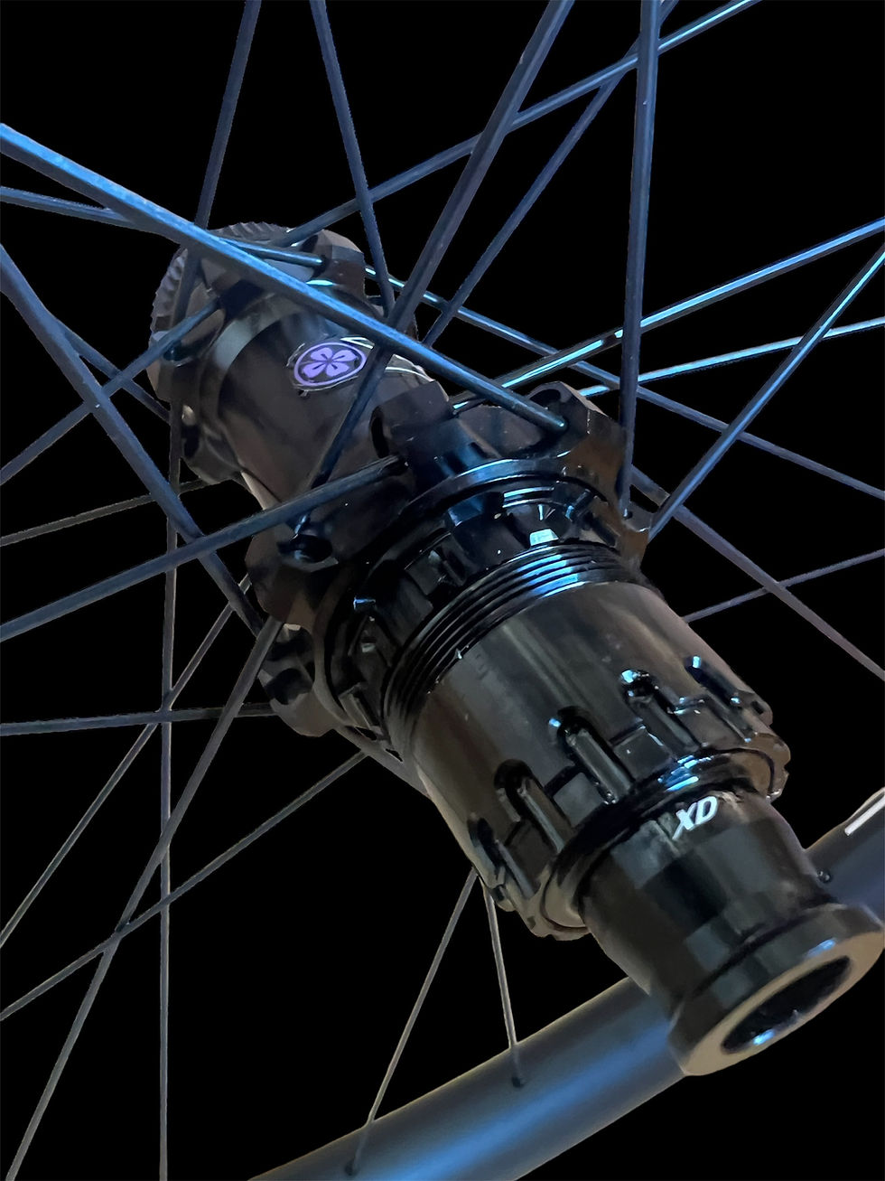 Miniatura: SPIRIT 36-DUST