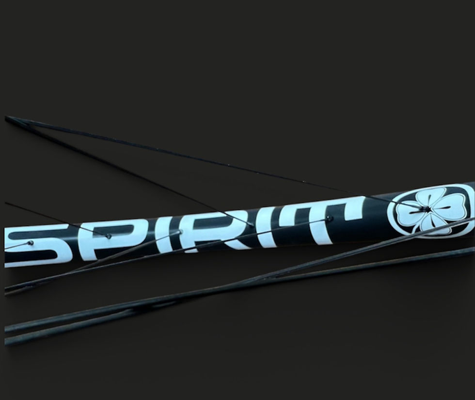 Miniatura: SPIRIT DUST 2.0