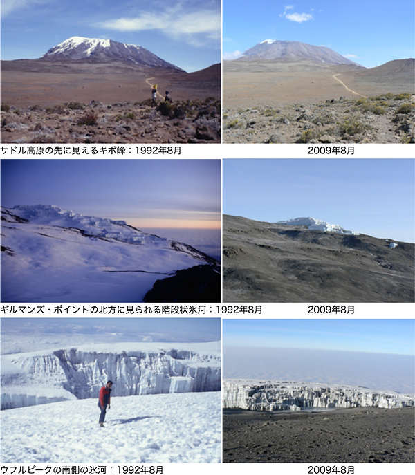 現在の研究内容 Mysite 現在の研究内容 Mysite