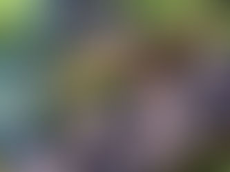 青空の下でバースディピクニック★