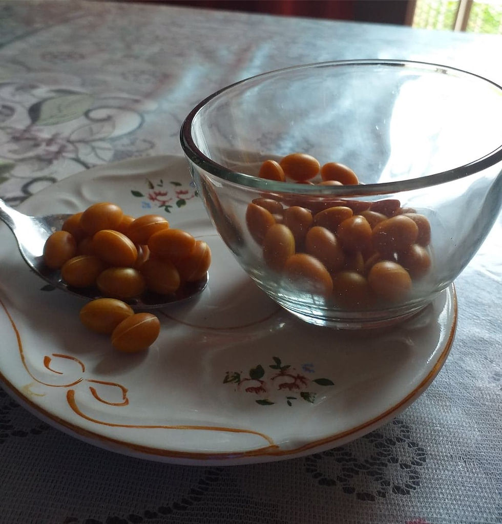 ¿Qué es el colágeno?