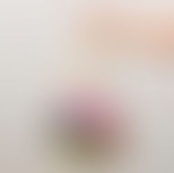 Journee mondiale du sextoy