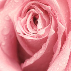 Réjuvénation vaginale : retrouver confort et confiance intime