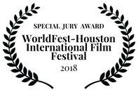 SPECIAL JURY AWARD - WorldFest-Houston