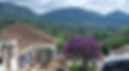 Matriz 20230211_103110_edited.jpg