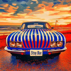 Discovering Stray Blue: A Celebration of 20 Years in Music