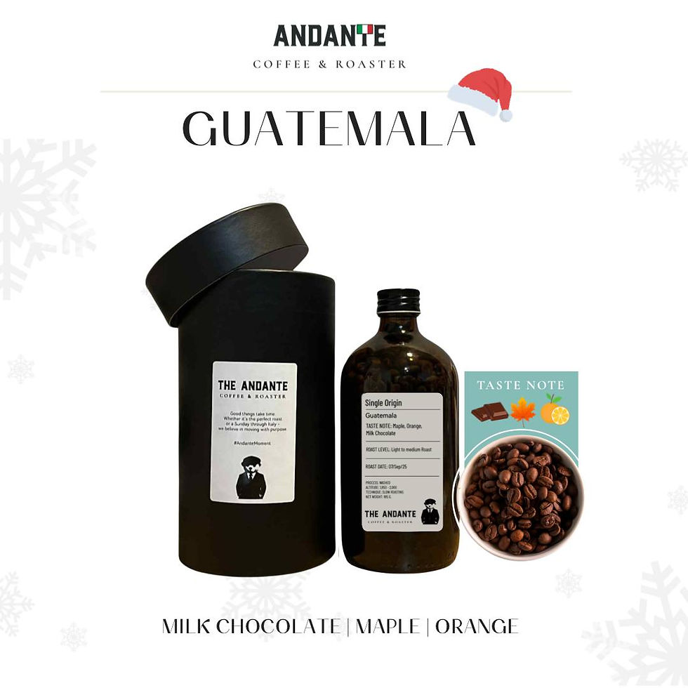 The Andante เมล็ดกาแฟกัวเตมาลา Single origin Guatemala Whole Bean 160 กรัม