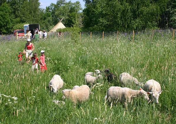 5. Saueslipp på Bakkehavn 039.jpg