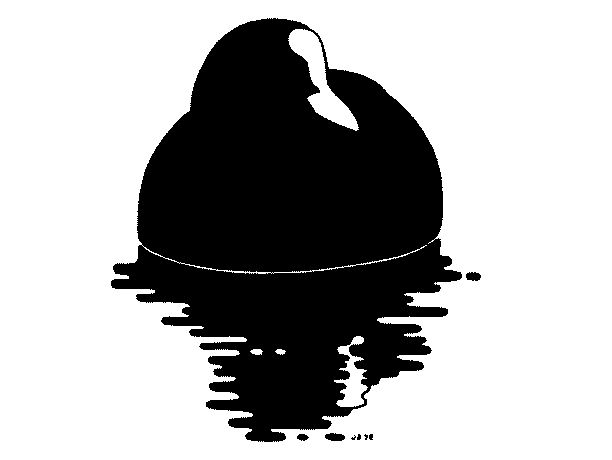 Sothøne-logoen, tegnet av Jon Solberg, var første gang brukt som forside til Fuglerapporten fra 1978