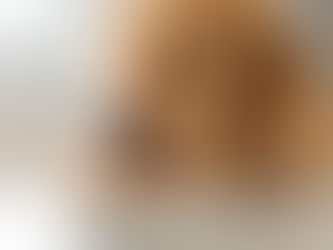 Ollie Review 2026: The Fresh Dog Food Delivery Service Worth Trying