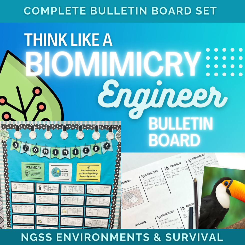 Think Like a Biomimicry Engineer: Bulletin Board & Focus Wall | Lodge