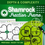 Thumbnail: Depth & Complexity Shamrock Fractions