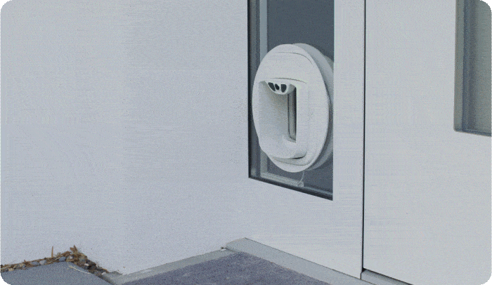 DE_Micro_1_comp.gif