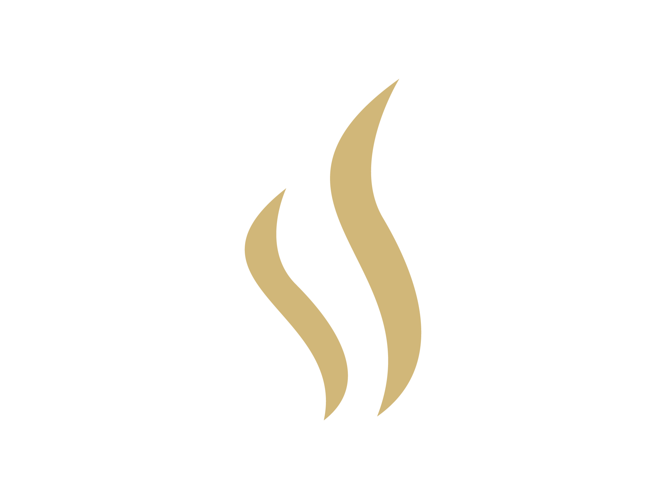 The Lindis Lodge Icons-01.png