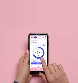 Rectangle 720 (2).png