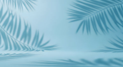 AdobeStock_1998550384.jpeg