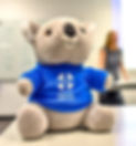 MHFA-Koala-BNC.jpg