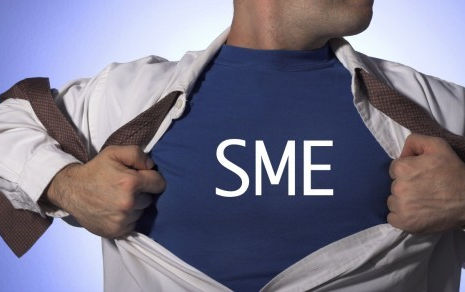 Subject Matter Experts