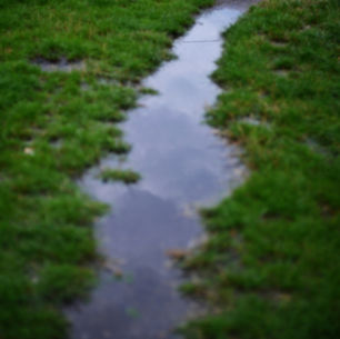 Where Does All That Rainwater Go? Understanding What Happens After It Rains