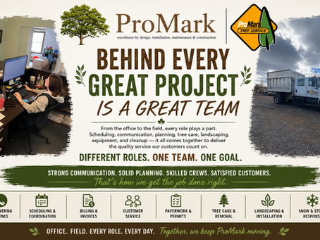 The Office Behind the Operation: The Team That Keeps ProMark Moving