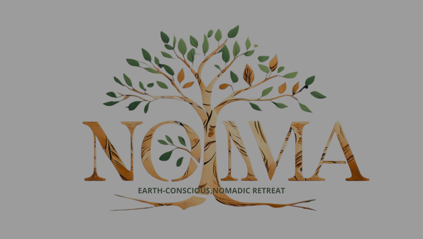 Noma Logo New_edited.jpg