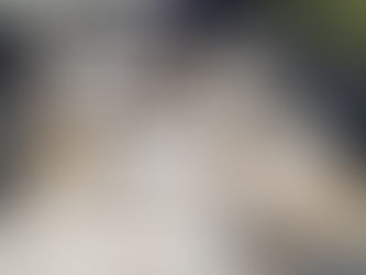 En Tamaulipas, la policía da duro golpe a la delincuencia