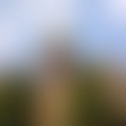 2027美本申请风向标:圣母&Emory延续标化可选,Top 30政策全盘点与备考策略