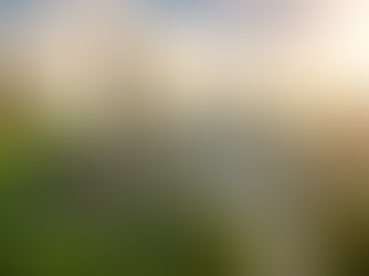 加拿大12大名校申请攻略(更新中)