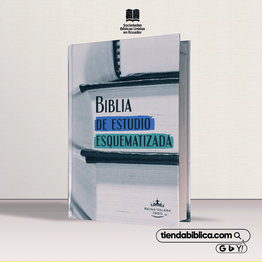 Biblia de estudio RVR60 TD esquematizada