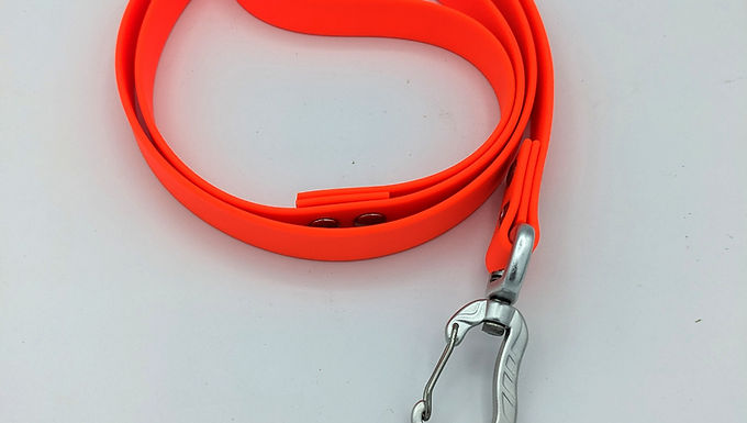 Waterproof Carabiner Lead Large
