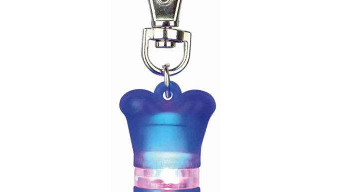 Trixie Flashing light