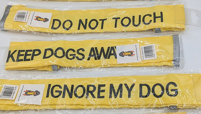 Lead cover "Anxious" "Keep Away" "Do Not Touch"