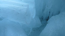 Ice Melting Sculptures