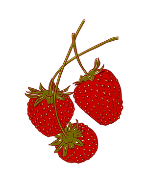 Strawbs_.png