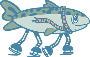 fishy hawk.png