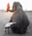 enginepurr.gif