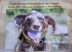 2027 Hunting Dog Calendar